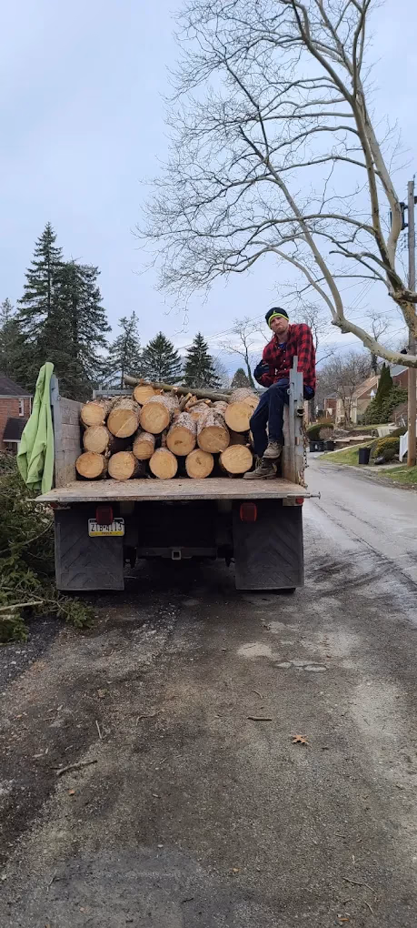 Man in red plaid shirt sitting on a truck loaded with cut logs on a residential street.