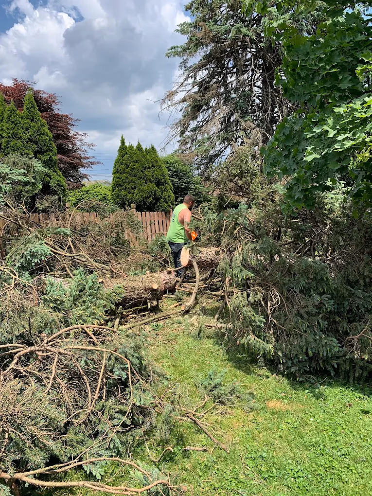 Man in a green tank top cutting a large fallen tree with a chainsaw in a backyard.