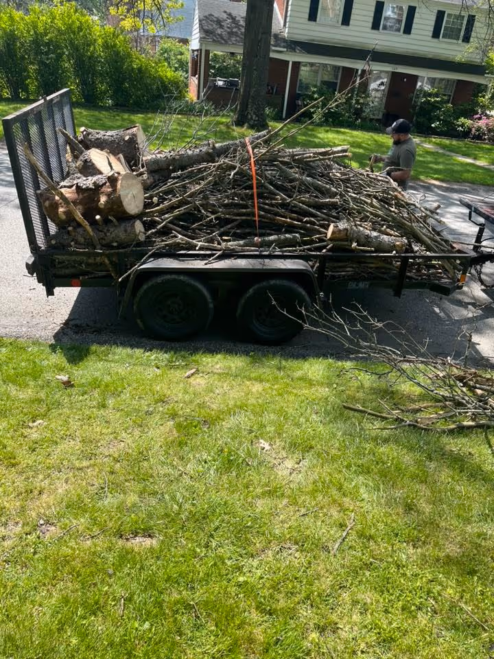 Trailer loaded with cut tree branches and logs parked on a suburban street next to a man.