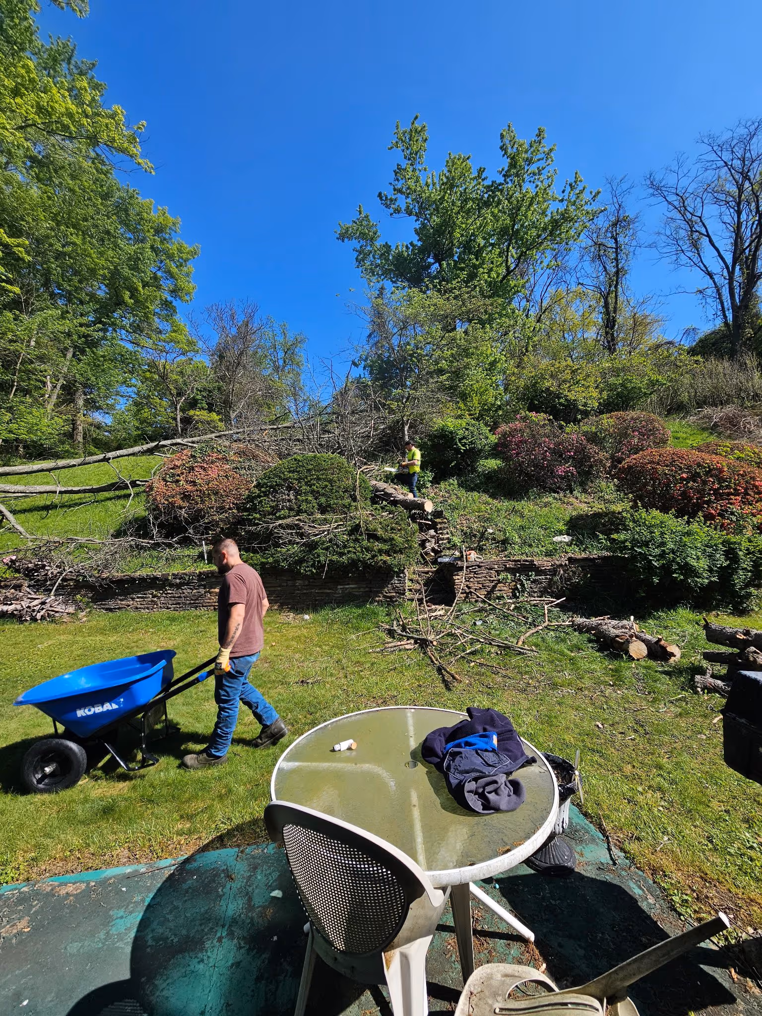 Two men working outdoors clearing fallen tree branches with a wheelbarrow and chainsaw in a garden.