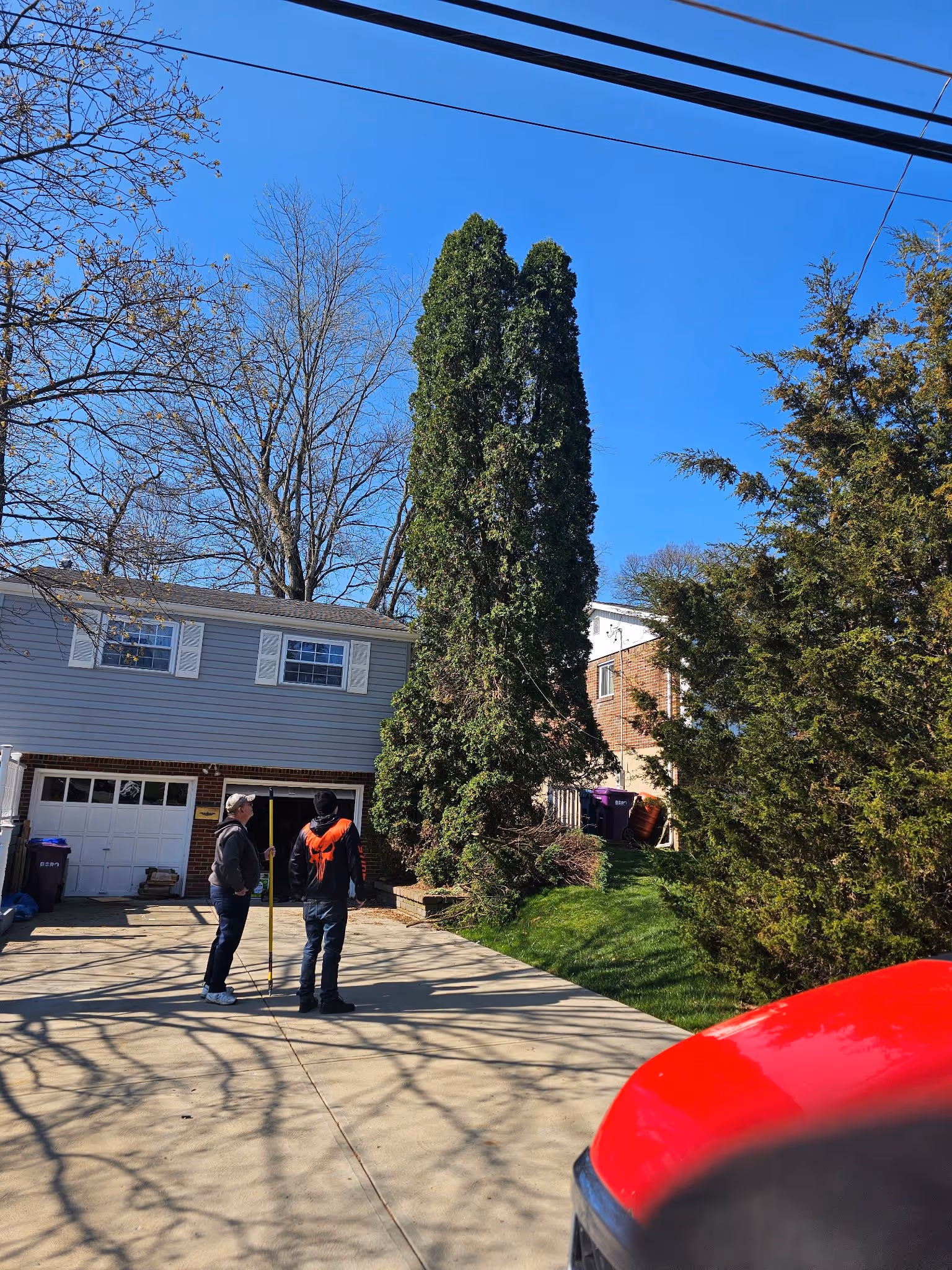 Two people standing on a driveway beside tall evergreen trees near a house on a clear day.