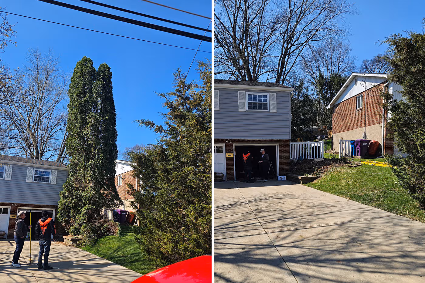 Side-by-side before and after photos of a driveway with a large tree removed near a garage.