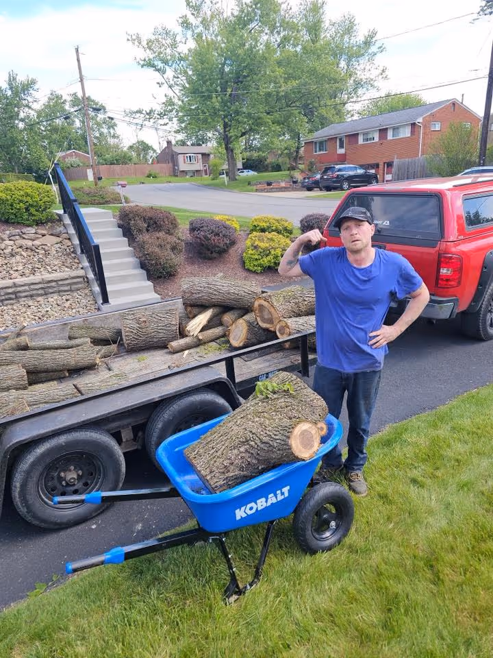 Man in blue shirt stands next to wheelbarrow with large tree logs by a red truck and trailer full of logs.