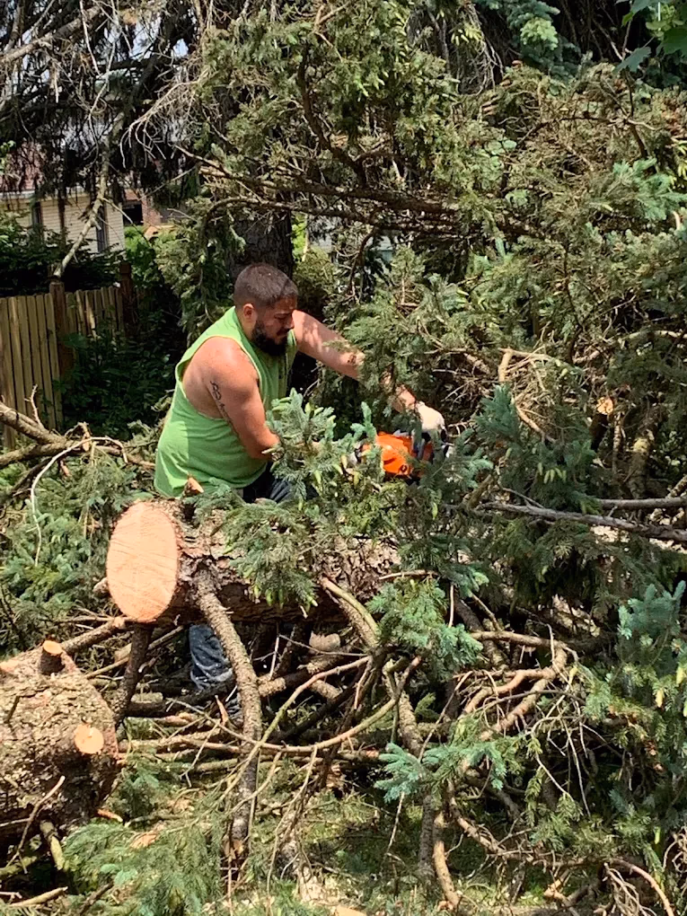 Man in green sleeveless shirt cutting large tree branches with a chainsaw outdoors.
